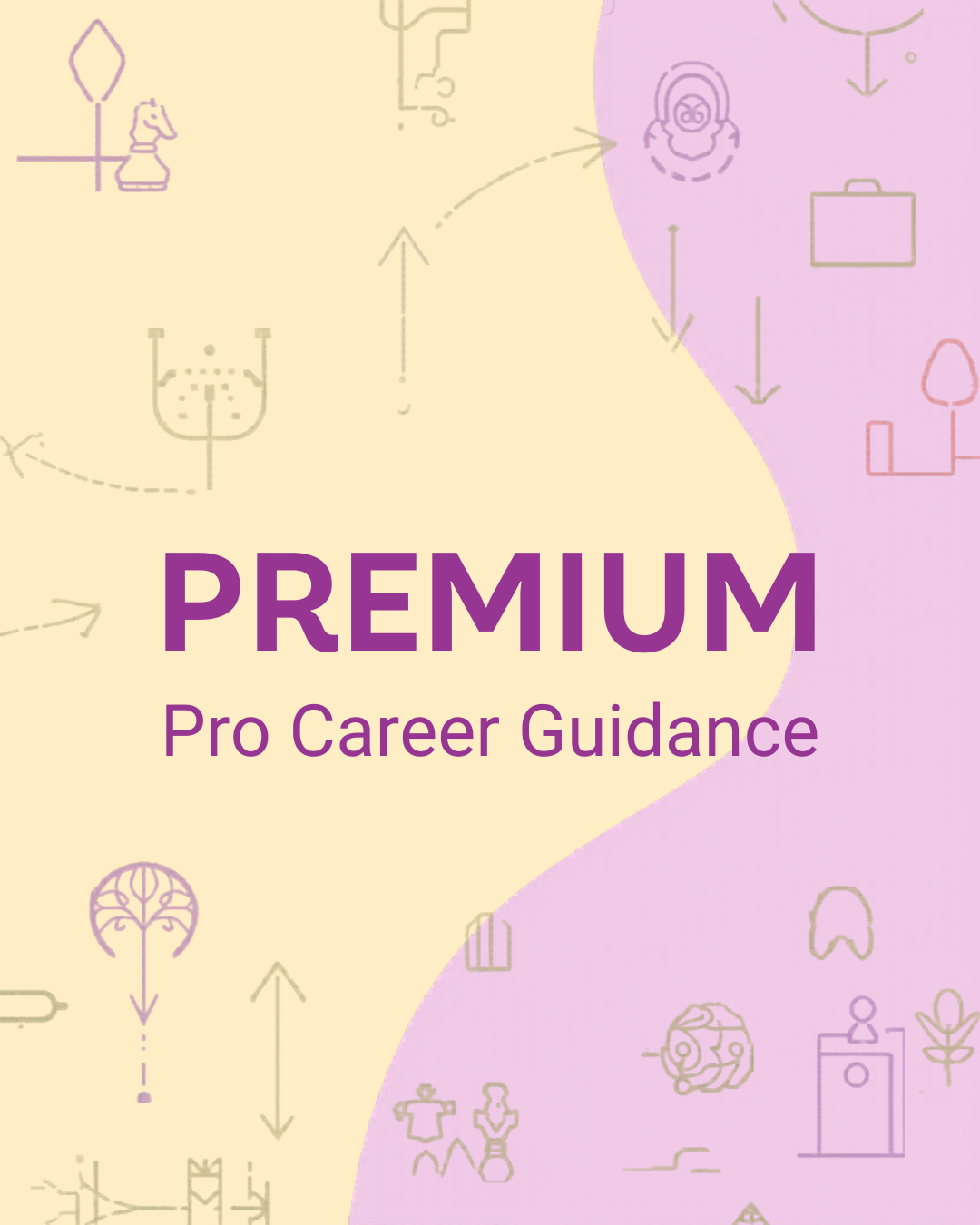 Premium Pro Career Guidance Program